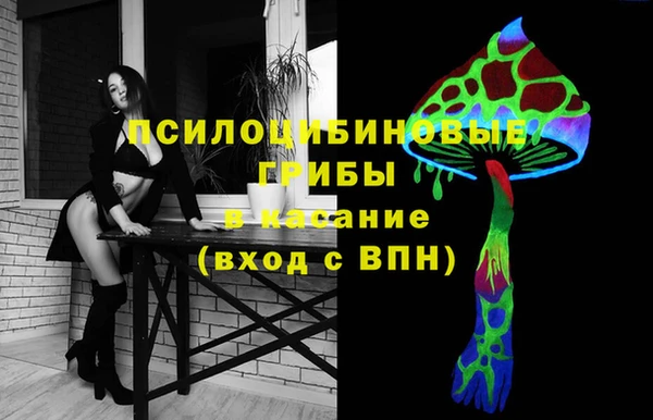 дмт Алексеевка