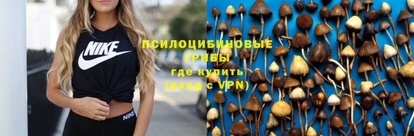 дмт Алексеевка